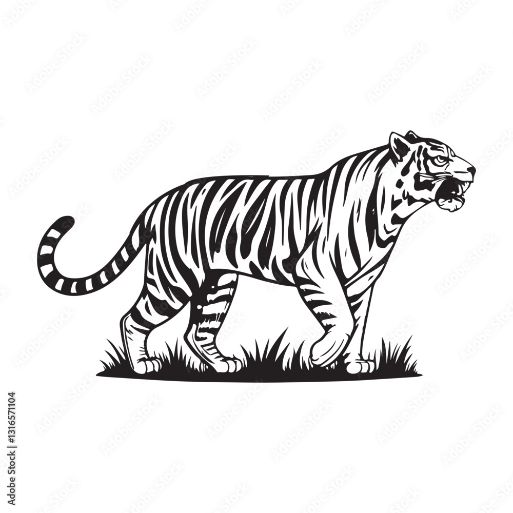 Obraz premium Tiger Vector 