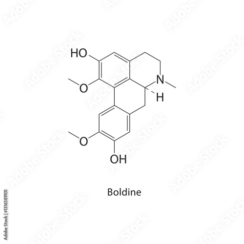 Boldine skeletal structure. Alkaloid compound schematic illustration. Simple diagram, chemical formula.