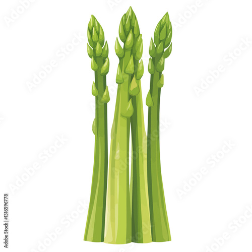 2D flat vector illustration asparagus icon isolated on a white background.


