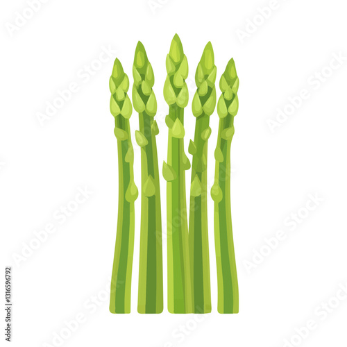 2D flat vector illustration asparagus icon isolated on a white background.

