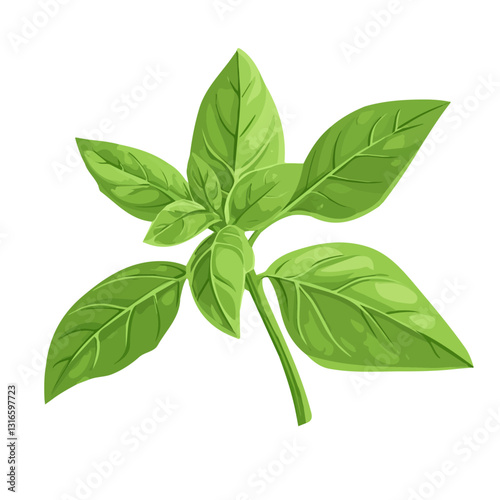 2D flat vector illustration basil icon isolated on a white background.

