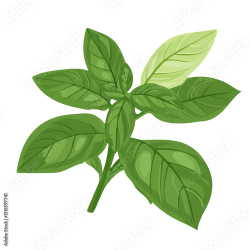 2D flat vector illustration basil icon isolated on a white background.

