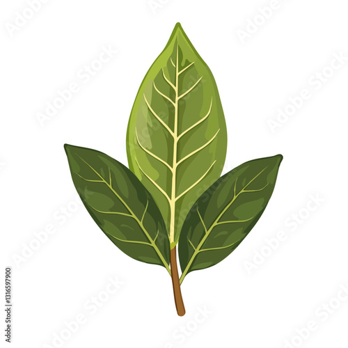 2D flat vector illustration bay leaf icon isolated on a white background.


