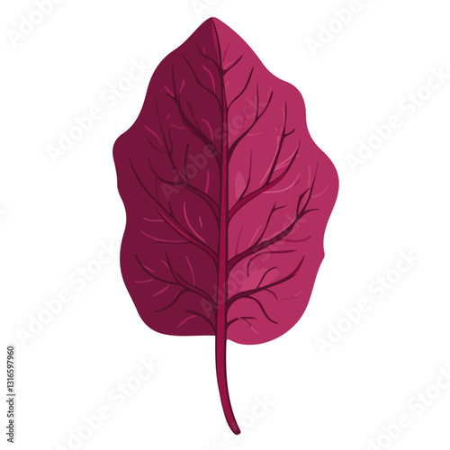 2D flat vector illustration beetroot leaves icon isolated on a white background.

