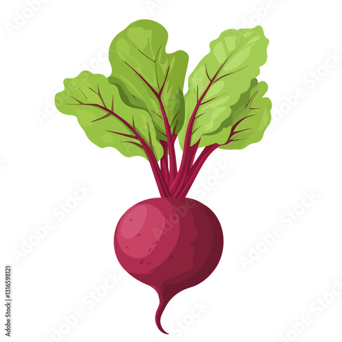 2D flat vector illustration beetroot icon isolated on a white background.

