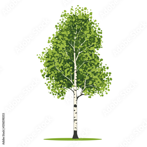 2D flat vector illustration birch icon isolated on a white background.

