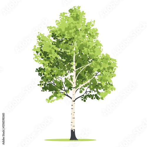 2D flat vector illustration birch icon isolated on a white background.

