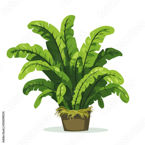 2D flat vector illustration bird’s nest fern icon isolated on a white background.

