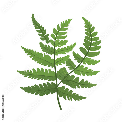 2D flat vector illustration boston fern icon isolated on a white background.

