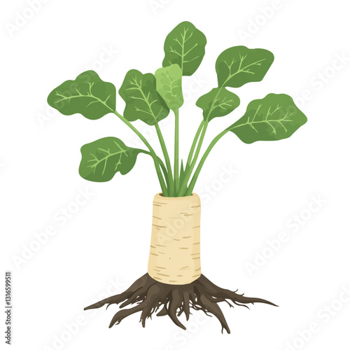 2D flat vector illustration burdock root icon isolated on a white background.


