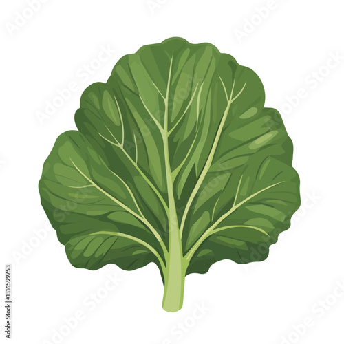 2D flat vector illustration cabbage leaf icon isolated on a white background.

