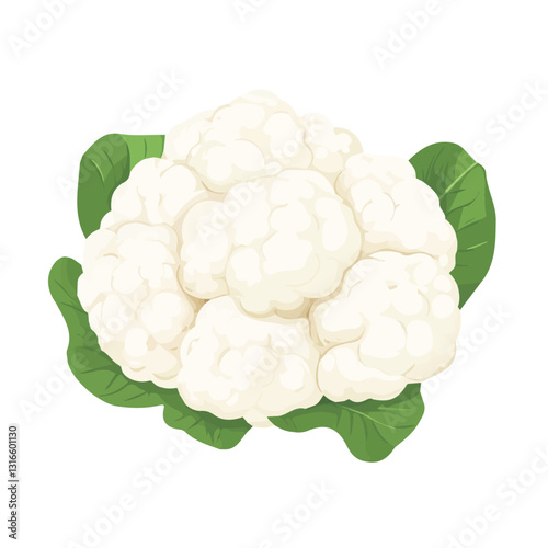2D flat vector illustration cauliflower icon isolated on a white background.

