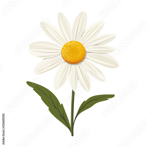 2D flat vector illustration chamomile flower icon isolated on a white background.

