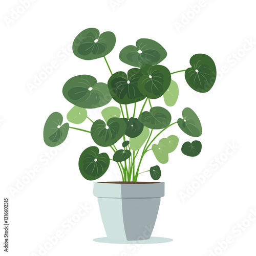 2D flat vector illustration Chinese money plant icon isolated on a white background.

