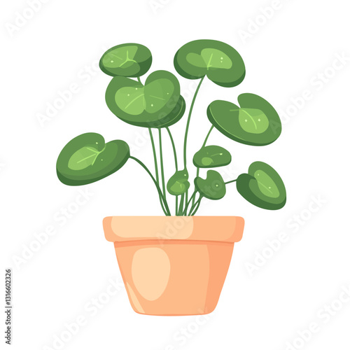 2D flat vector illustration Chinese money plant icon isolated on a white background.

