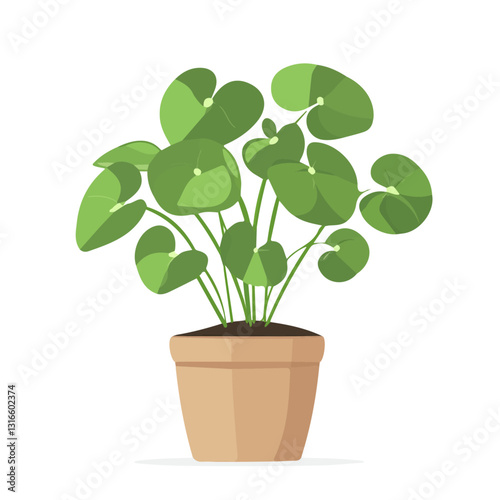 2D flat vector illustration Chinese money plant icon isolated on a white background.

