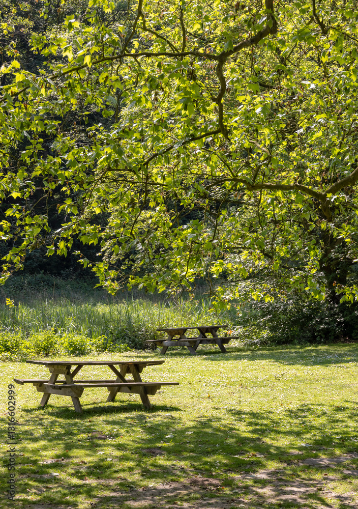 wooden benches and tables in the park in the rays of the summer sun
wooden benches and tables in the park in the rays of the summer sun