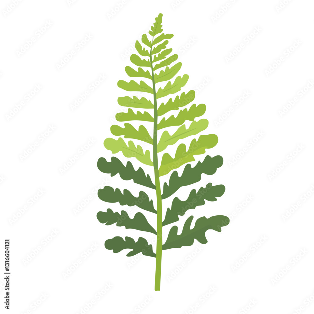 2D flat vector illustration Crocodile fern icon isolated on a white background.
2D flat vector illustration Crocodile fern icon isolated on a white background.
