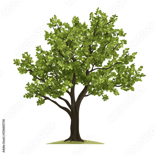 2D flat vector illustration Elm bonsai icon isolated on a white background.

