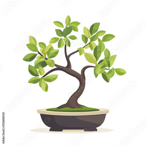 2D flat vector illustration Ficus bonsai icon isolated on a white background.

