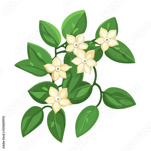 2D flat vector illustration Hoya plant icon isolated on a white background.

