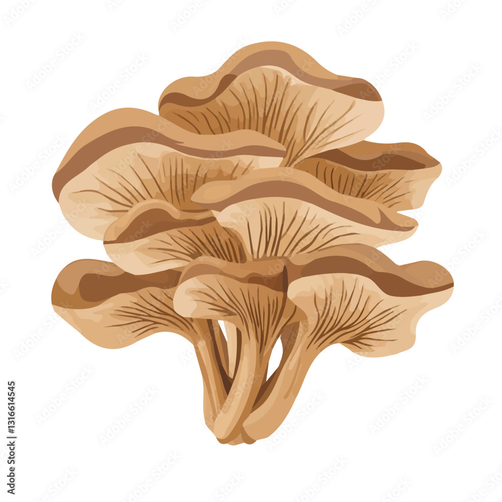 2D flat vector illustration Maitake Mushroom icon isolated on a white background.
2D flat vector illustration Maitake Mushroom icon isolated on a white background.