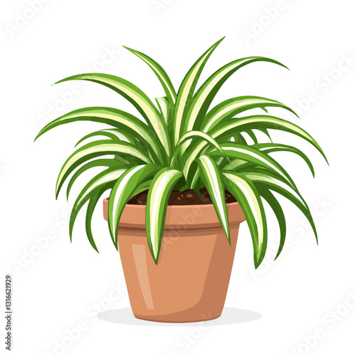 2D flat vector illustration Spider Plant icon isolated on a white background.


