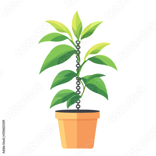 2D flat vector illustration Watch Chain Plant icon isolated on a white background.


