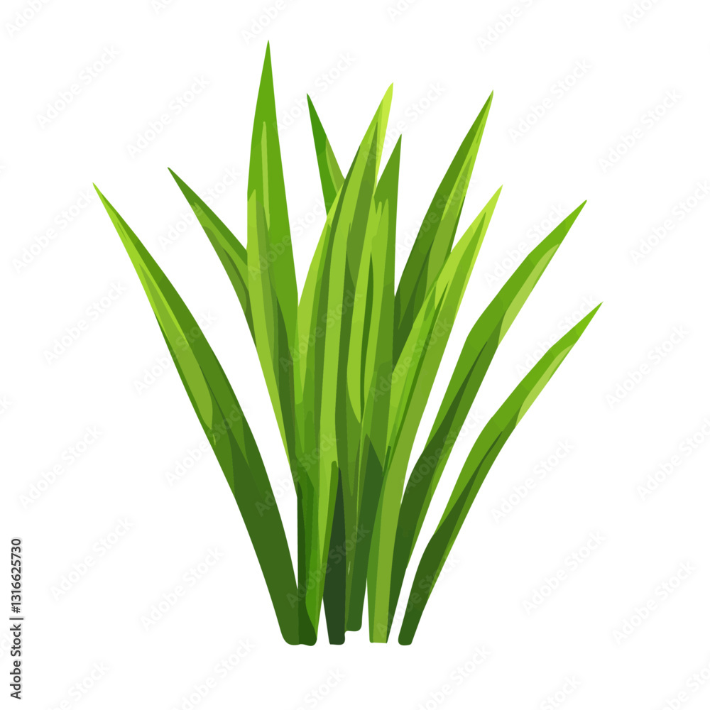 2D flat vector illustration Wheatgrass icon isolated on a white background.
2D flat vector illustration Wheatgrass icon isolated on a white background.
