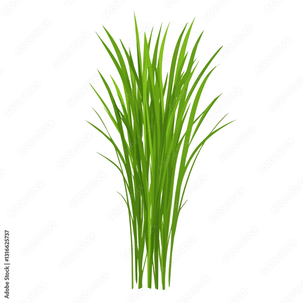2D flat vector illustration Wheatgrass icon isolated on a white background.
2D flat vector illustration Wheatgrass icon isolated on a white background.