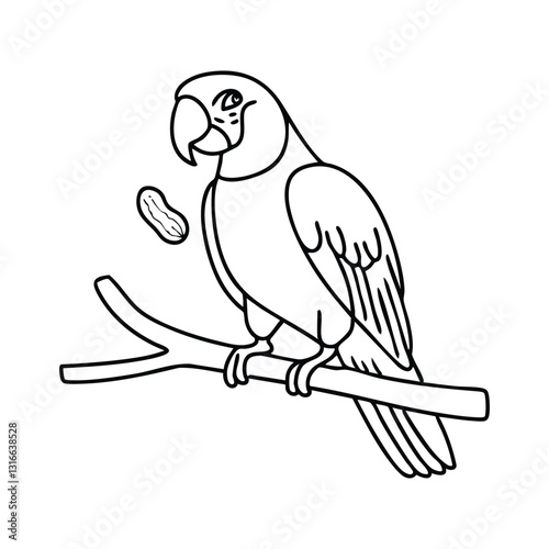 Macaw perched on a tree branch holding a peanut