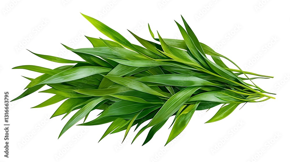 Fototapeta premium Vibrant Green Leaves: A Close-Up Studio Shot AI Generated