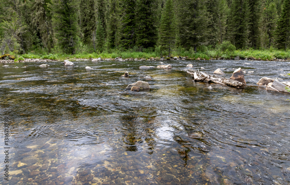 mountain river with turbulent water and stones near the forest
mountain river with turbulent water and stones near the forest