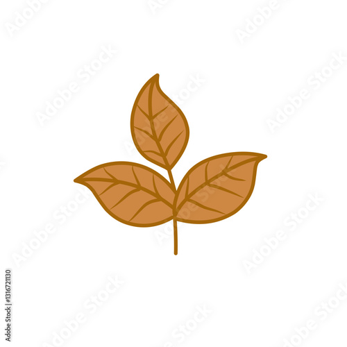 tobacco leaf vector
