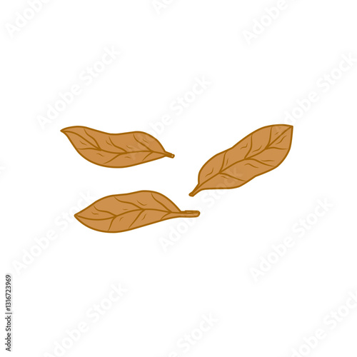 tobacco leaf vector