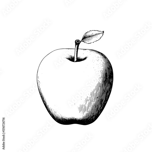 Intricate black and white vector illustration of a fresh apple with a vibrant leaf on a plain background