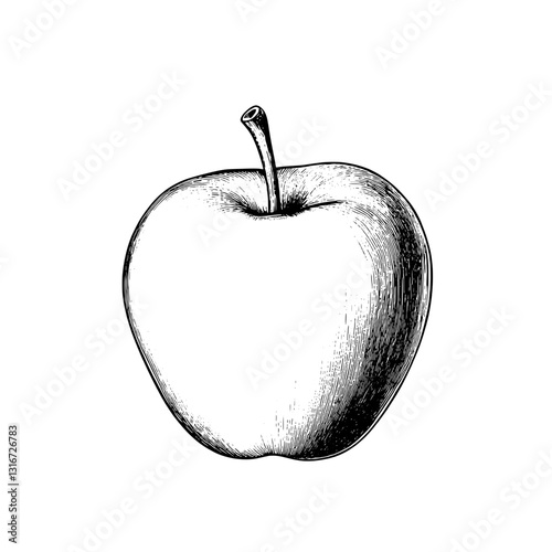 Sketch of a fresh and detailed apple captured in a minimalist style showcasing its natural curves and simplicity in black and white
