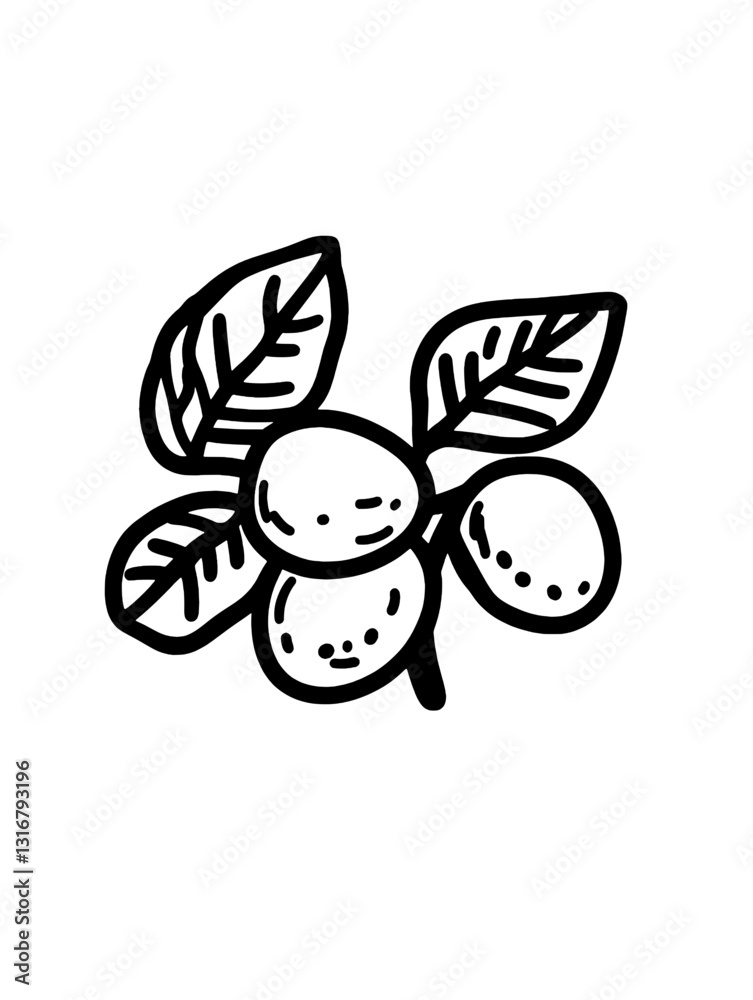 Delightful hand-drawn vector illustration of nuts with leaves on a minimalistic background Delightful hand-drawn vector illustration of nuts with leaves on a minimalistic background