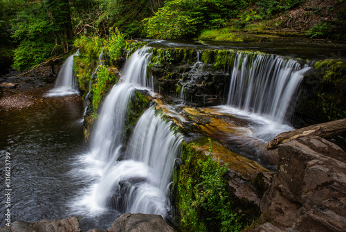 waterfall in the forest