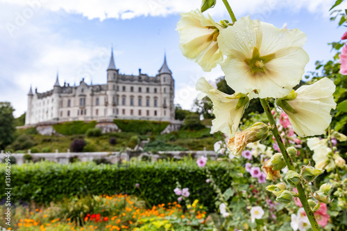 Dunrobin Castle, fairy-tale gem overlooking North Sea, offers breathtaking gardens, exquisite summer blooms. A masterpiece of elegance, lush landscapes meet historic charm, unfold on manicured lawns photo