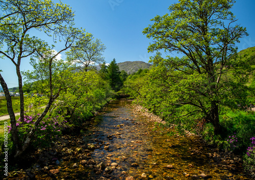 Stream by the viaduct
