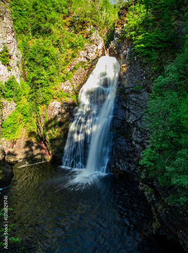 waterfall in the forest