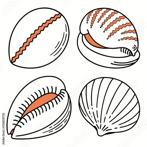Four scallop shells arranged in a grid format.