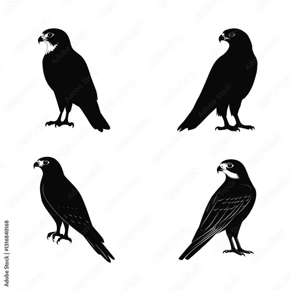 Fototapeta premium Falcon a simple minimal black silhouette set