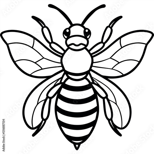 Honey-bee-vector.