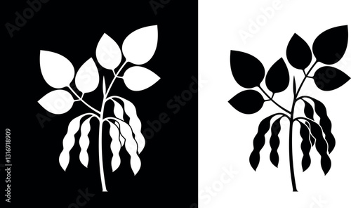 Soybean logo. Isolated soybean on white background