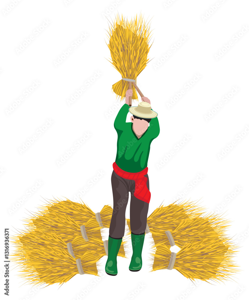 Farmer is threshing rice vector design.
