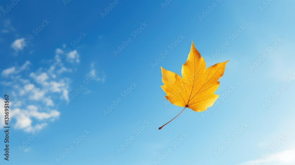 Obraz premium tree leaf fall isolated