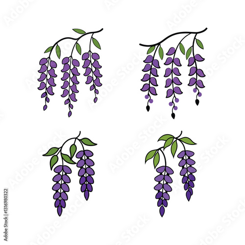 Set of purple wisteria flower vector illustration.