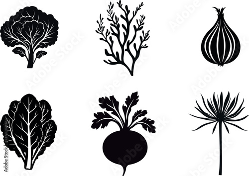 Vegetables bundle design